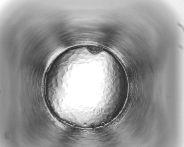 X0000093771379200710301156