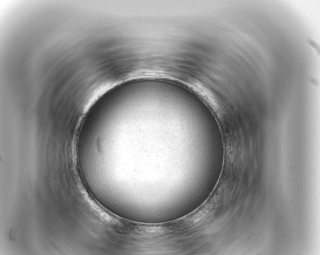 X0000093771382200710301156