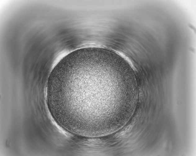 X0000093771383200710301156