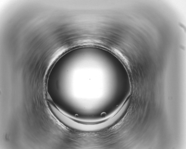 X0000093771384200710301156