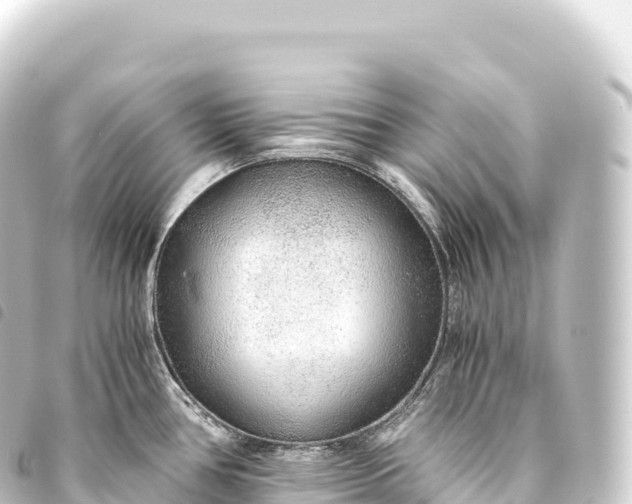 X0000093771386200710301156