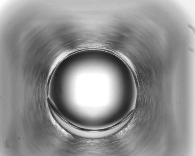 X0000093771389200710301156