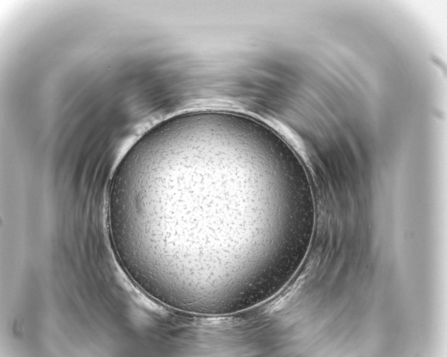 X0000093771390200710301156