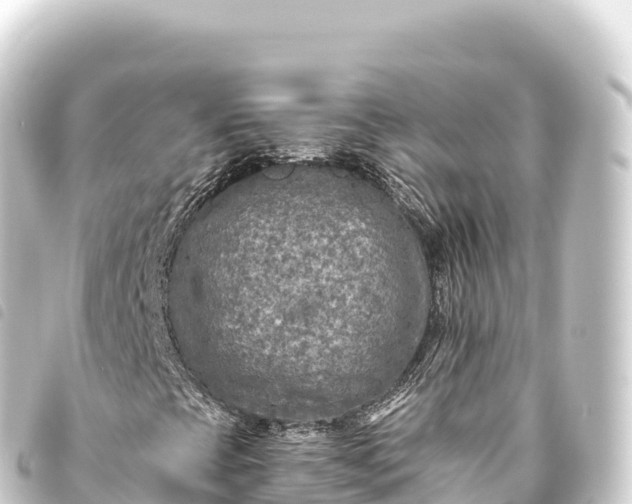 X0000093771393200710301155