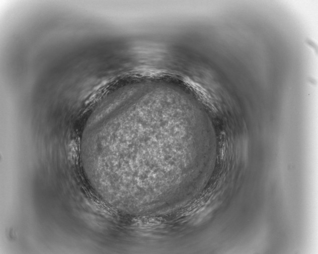 X0000093771397200710301155