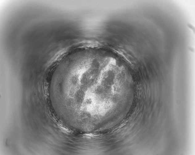 X0000093771399200710301156