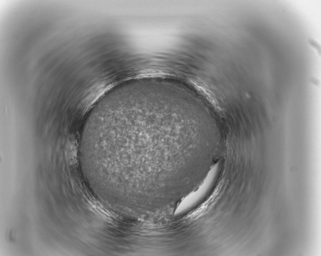 X0000093771401200710301156