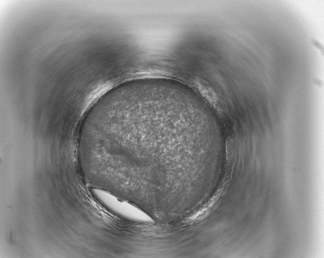 X0000093771405200710301156