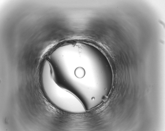 X0000093771406200710301156