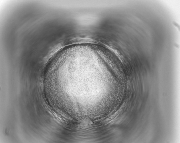 X0000093771407200710301156