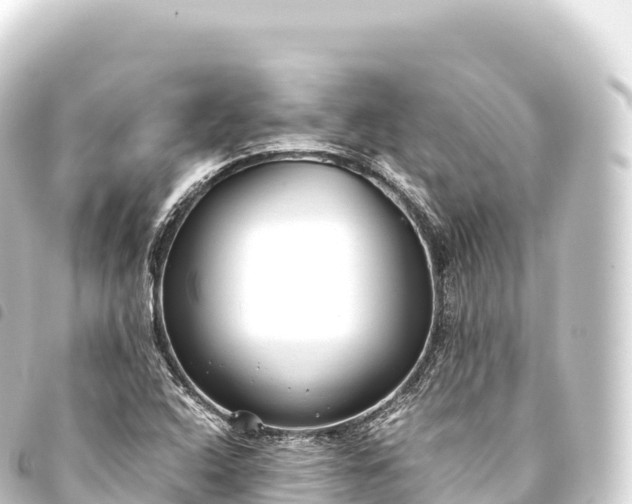 X0000093771408200710301156