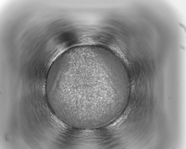 X0000093771409200710301156