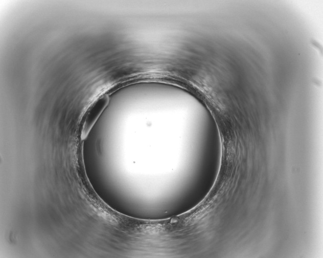 X0000093771410200710301156