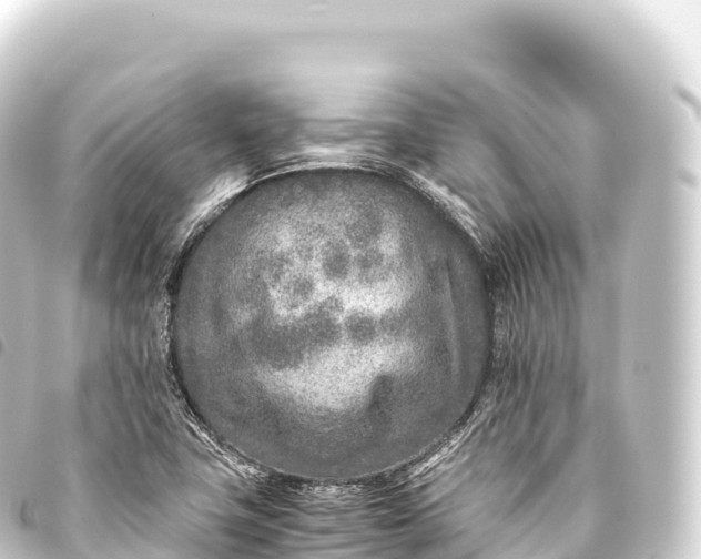 X0000093771411200710301156