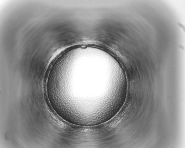 X0000093771412200710301156