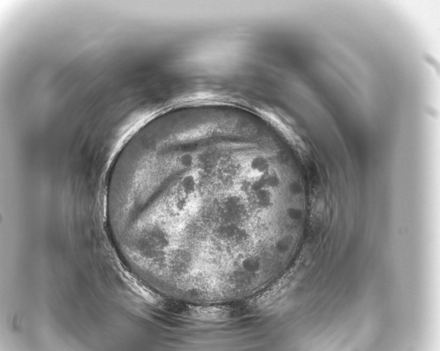 X0000093771413200710301156