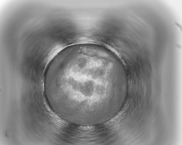 X0000093771415200710301156