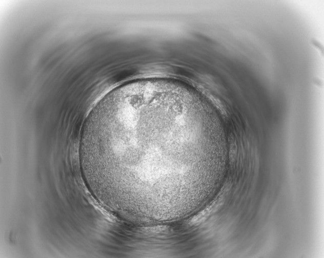 X0000093771417200710301156