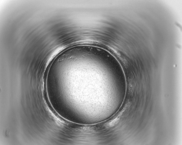 X0000093771418200710301156