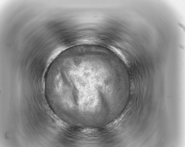 X0000093771419200710301156