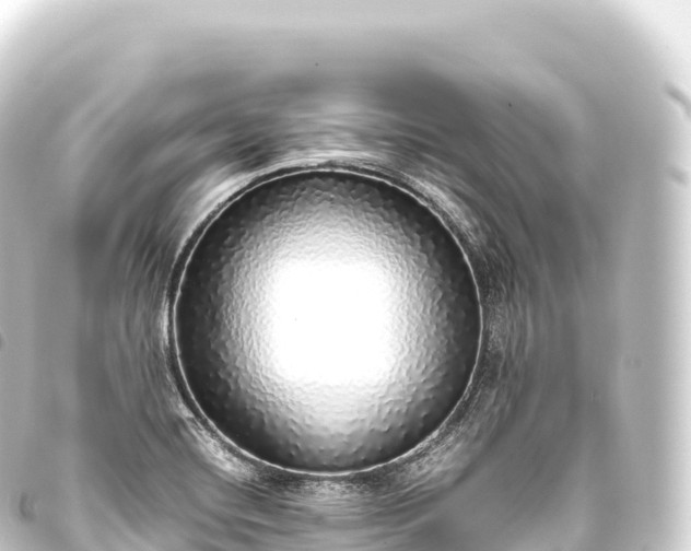 X0000093771420200710301156