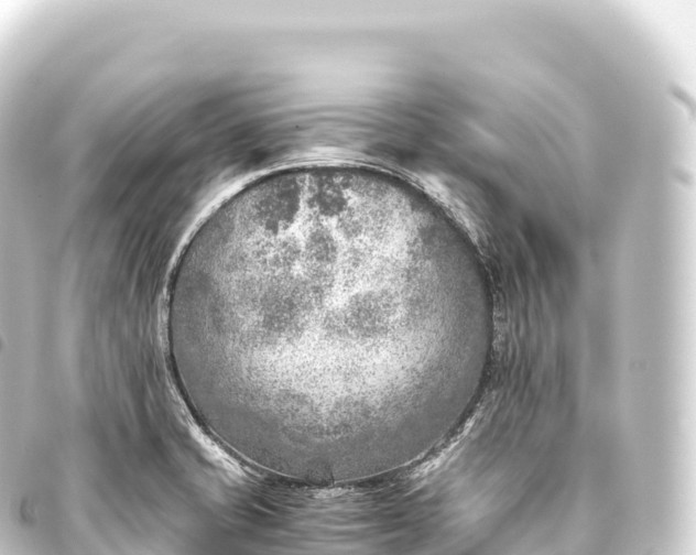 X0000093771421200710301156