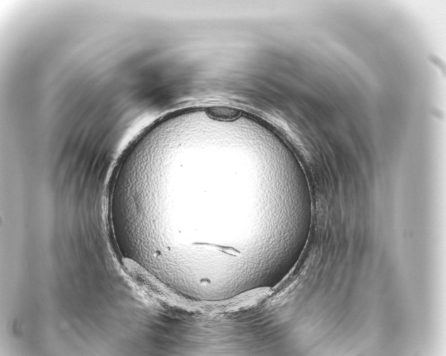 X0000093771424200710301156