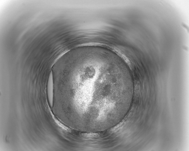 X0000093771425200710301156