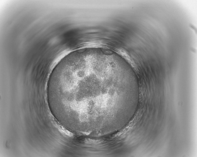 X0000093771427200710301156