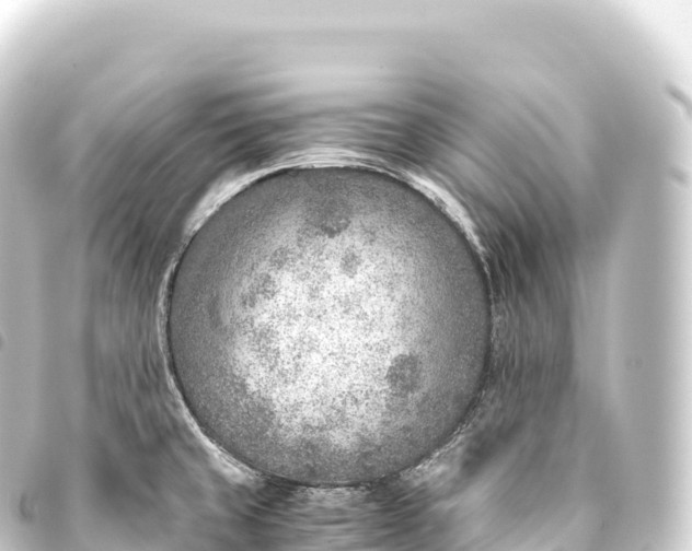 X0000093771429200710301156