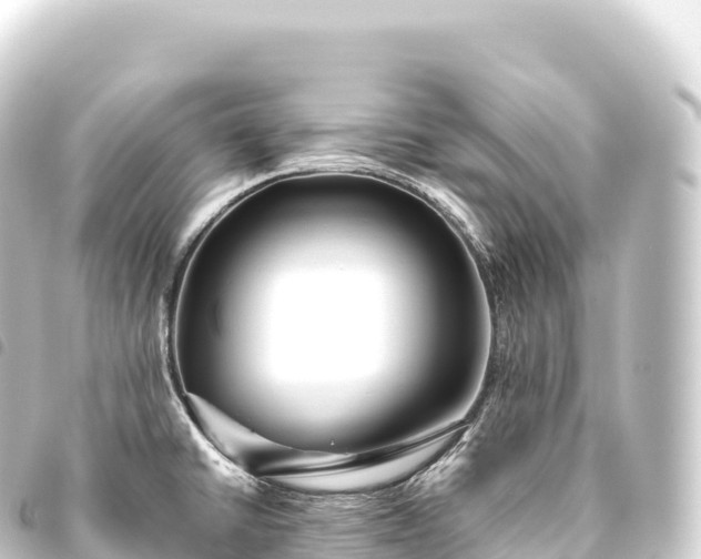 X0000093771430200710301156