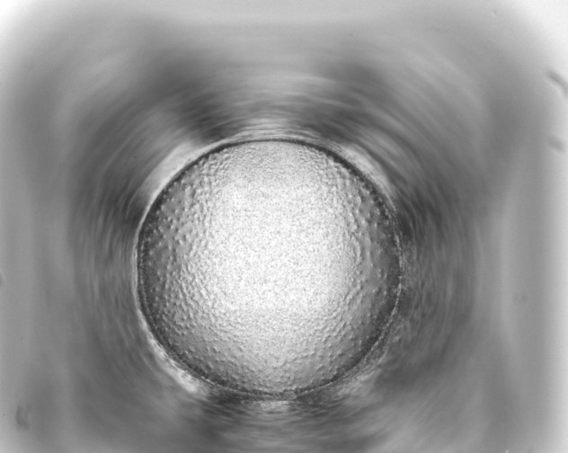 X0000093771431200710301156