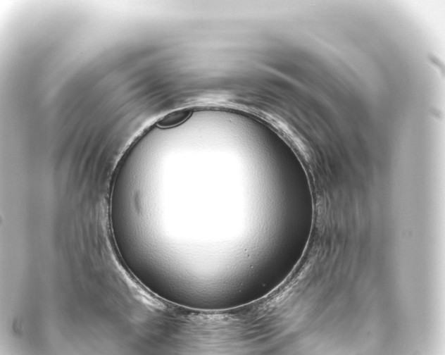 X0000093771432200710301156