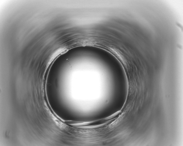 X0000093771434200710301156