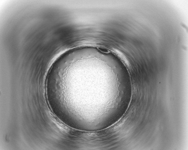 X0000093771435200710301156