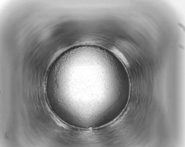 X0000093771436200710301156