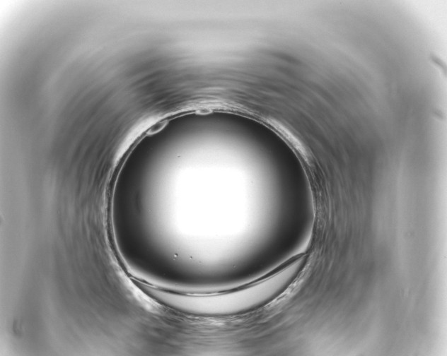 X0000093771438200710301156