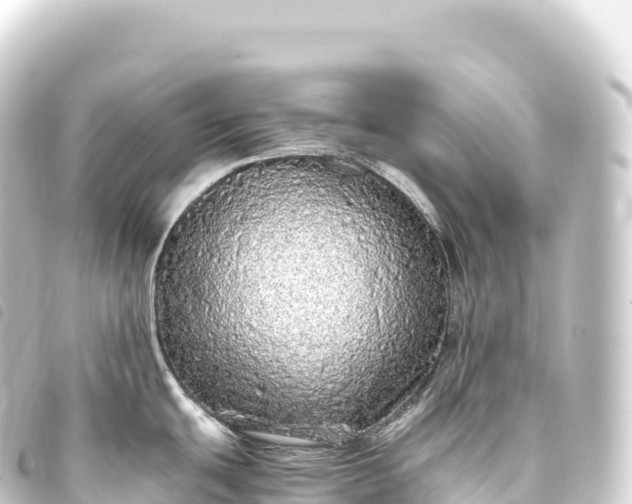 X0000093771439200710301156