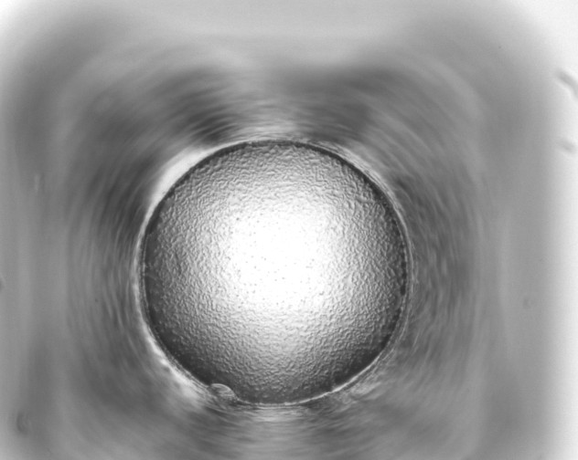 X0000093771440200710301156