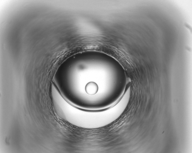 X0000093771441200710301155