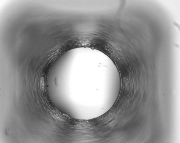 X0000093771442200710301155