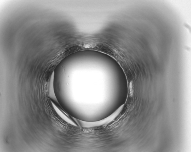 X0000093771443200710301155