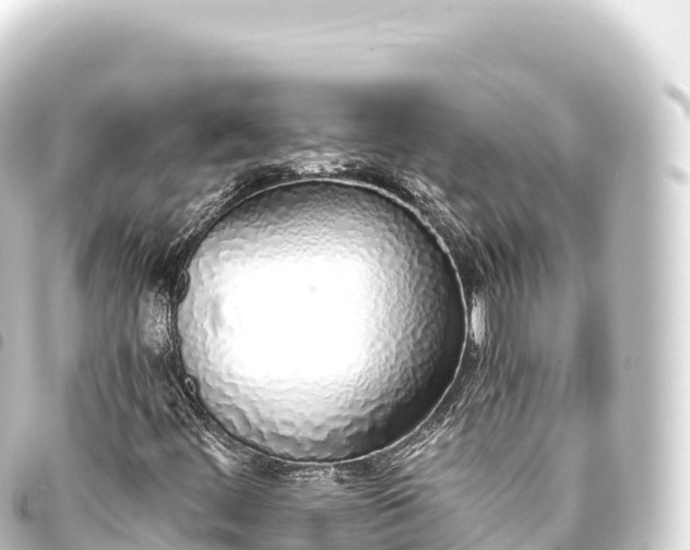 X0000093771444200710301155