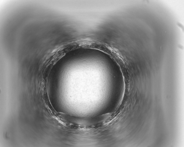 X0000093771445200710301155