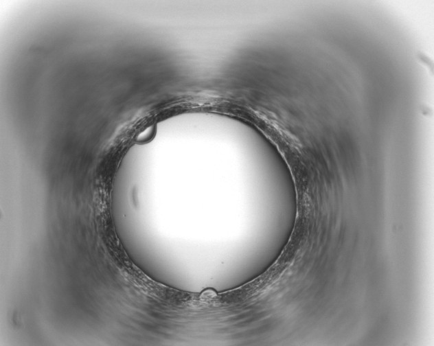 X0000093771447200710301155