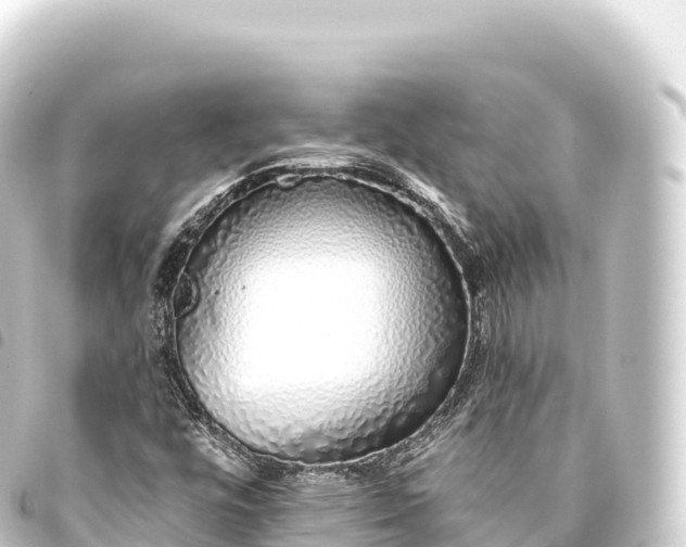 X0000093771448200710301155