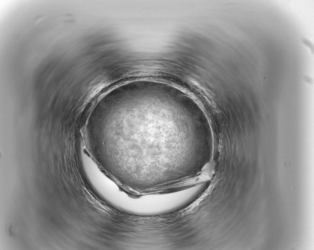 X0000093771449200710301155