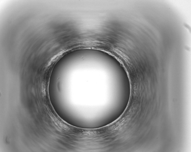 X0000093771451200710301155