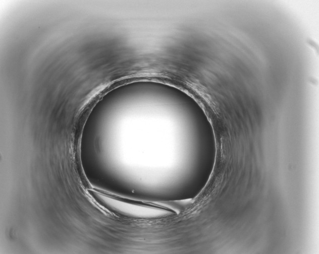 X0000093771452200710301155