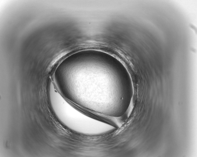 X0000093771453200710301155